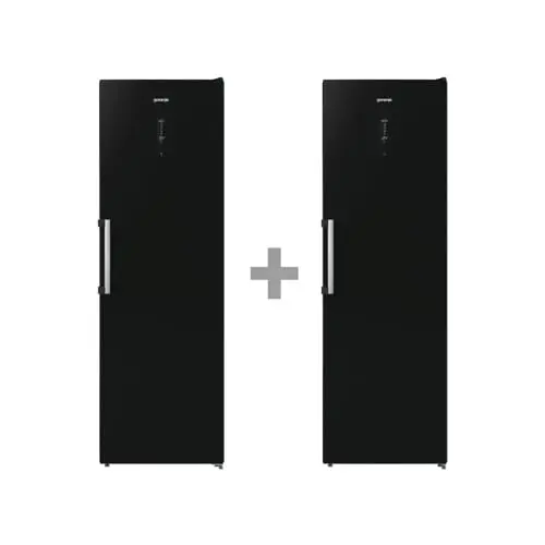 Gorenje R619EABK6 + FN619EABK6 