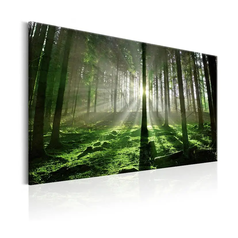 Tavla Arkiio Emerald Forest II