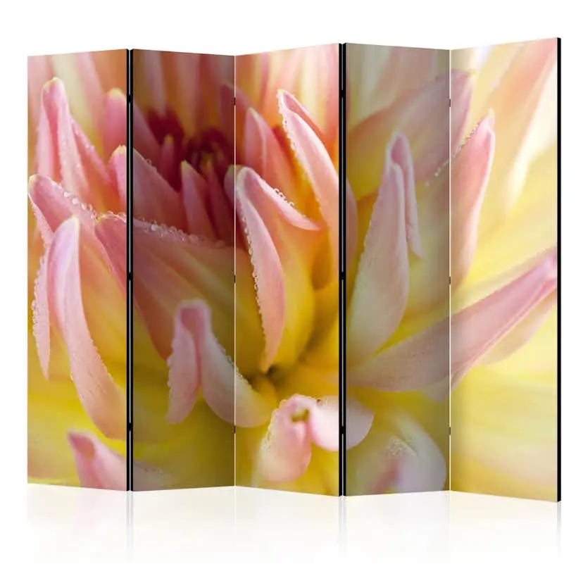 Rumsavdelare Skärmvägg Arkiio Pastel Colored Dahlia Flower With Dew Drops II 225x172 cm