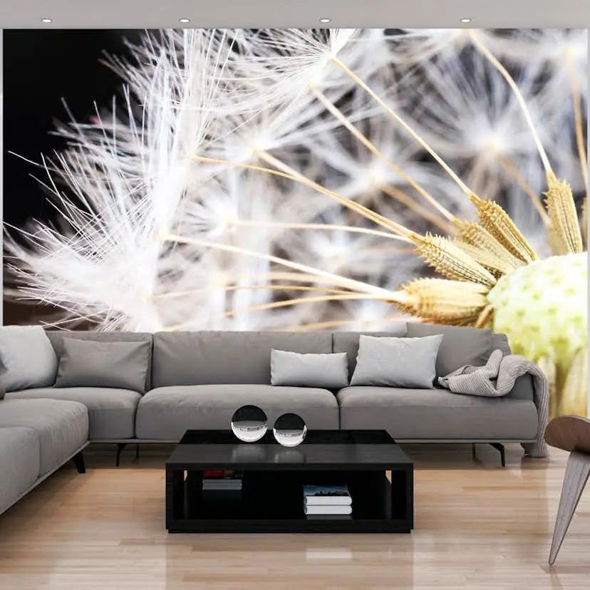 Fototapet Arkiio Fluffy Dandelion