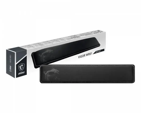 MSI - VIGOR WR01