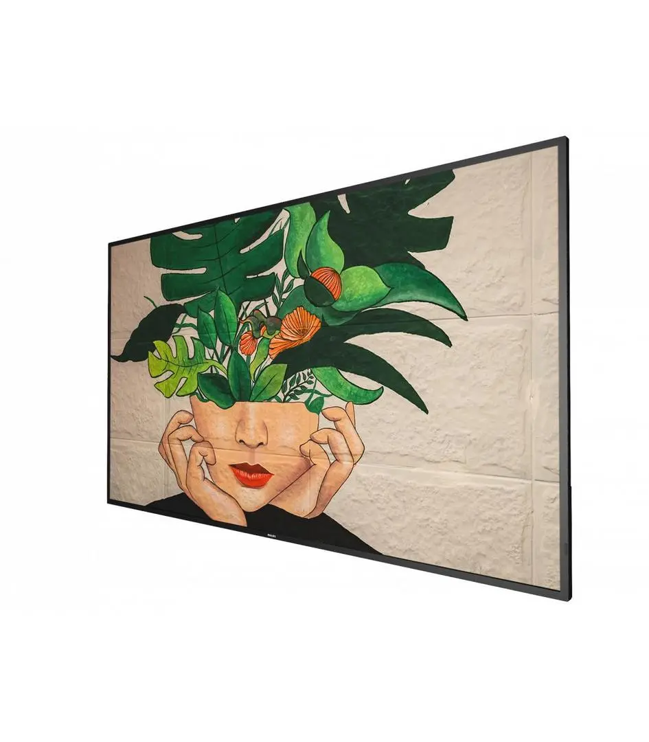 Philips - 55BDL4511D D-Line - 55" Klasse (54.6" synlig) LED-bakgrunnsbelyst LCD-skjerm - 4K
