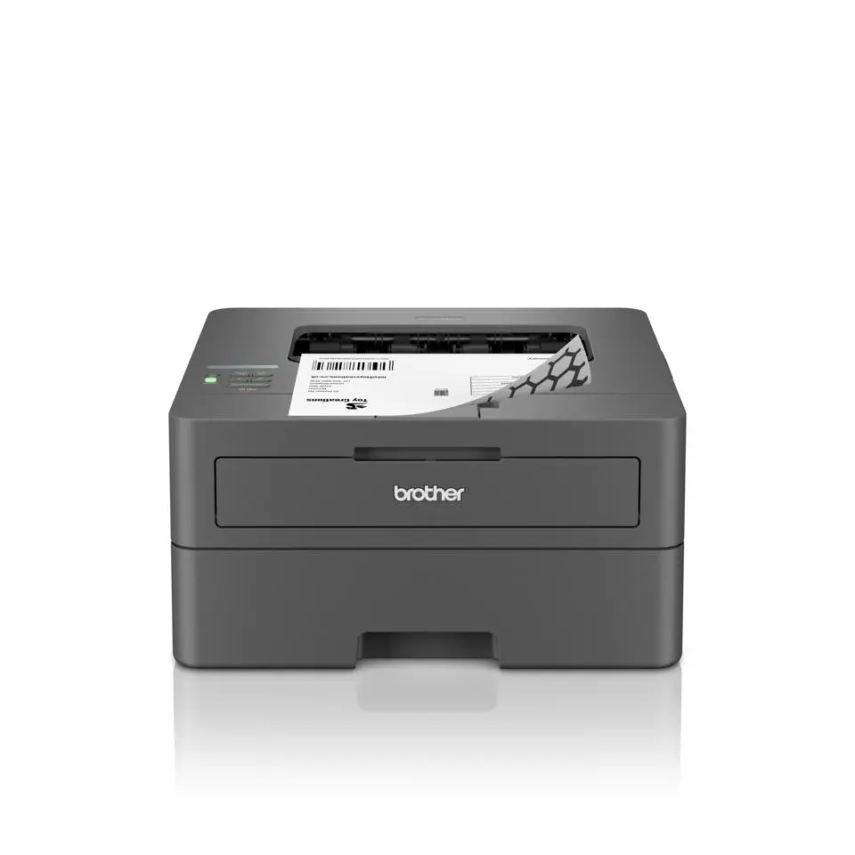 BROTHER - Hl-l2400dw A4