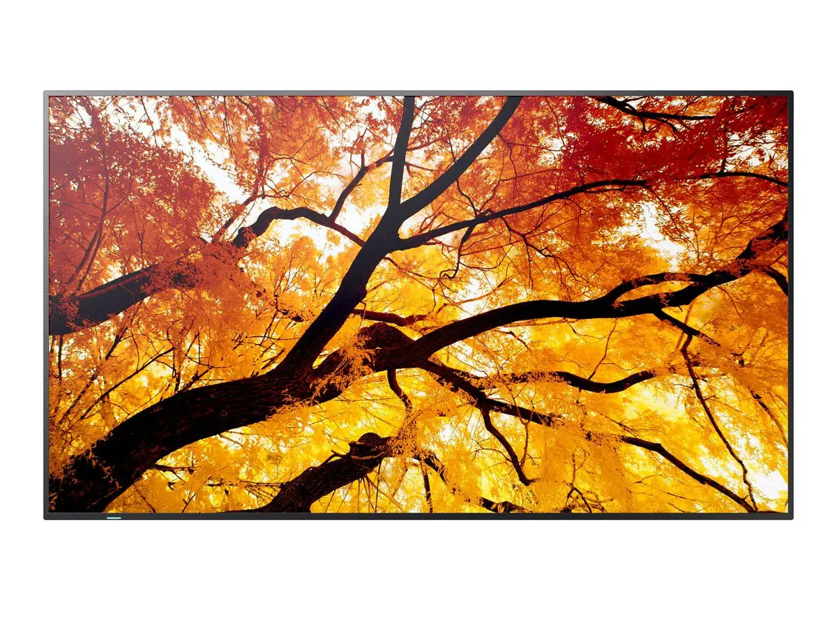 SHARP - M552, 55" M-Series LFD, UHD