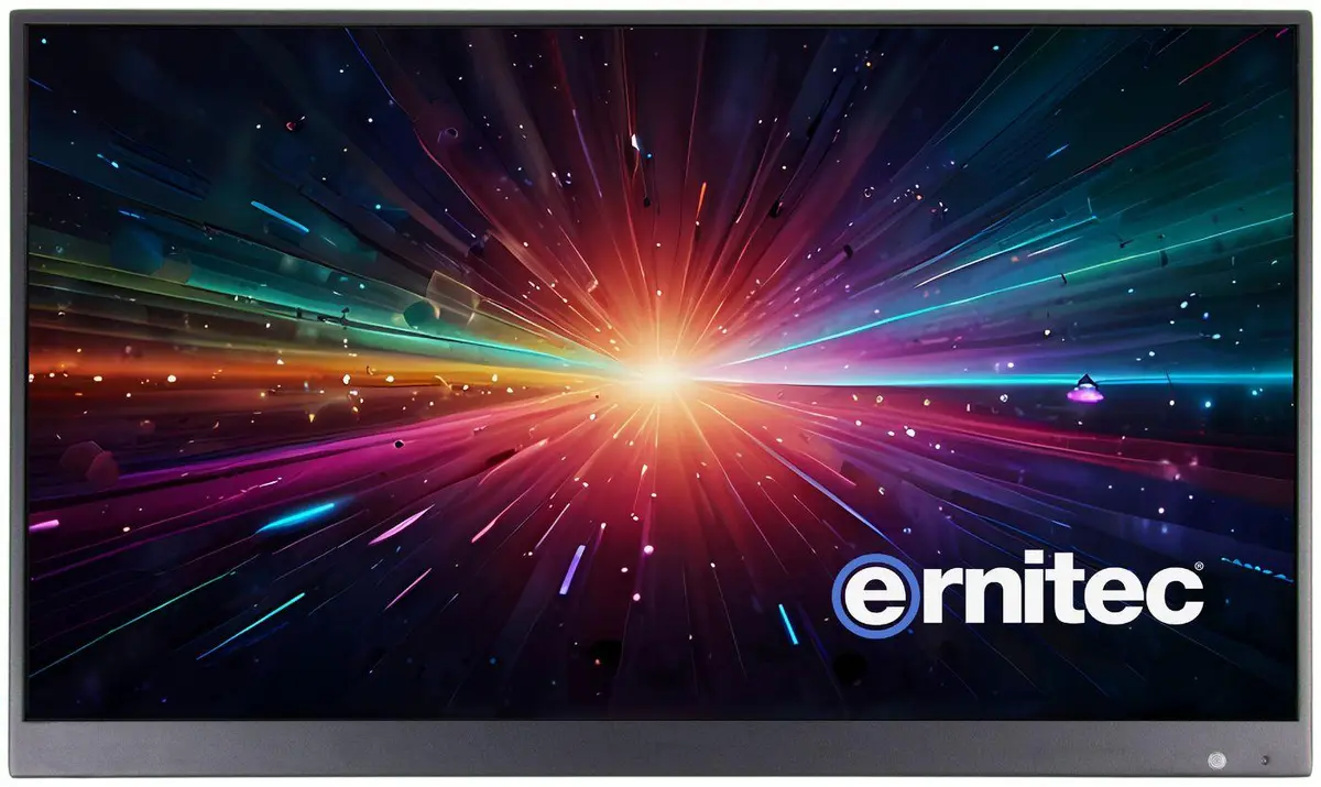 ERNITEC - 22" Surveillance monitor for