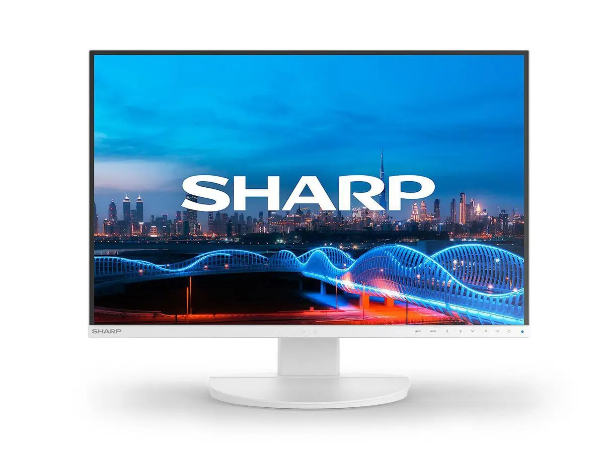 Sharp - EA241W, 24" LCD Monitor, 
