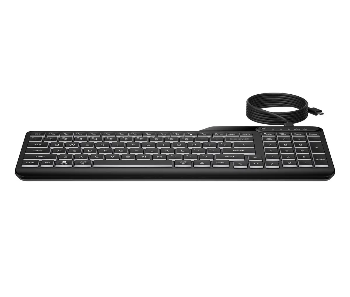HP - SPS-USB DONGLE ASH C to A W CA