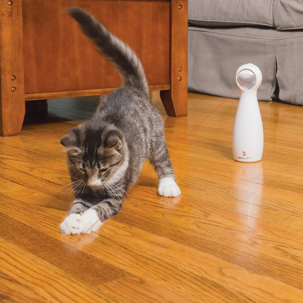 PetSafe Frolicat bolt Laser - Katt i Norge, katters favorittbutikk