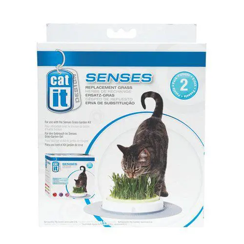 Refill Catit Senses Grass - Katt i Norge, katters favorittbutikk