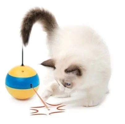 Catit Tumbler Bee Laser - Katt i Norge, katters favorittbutikk