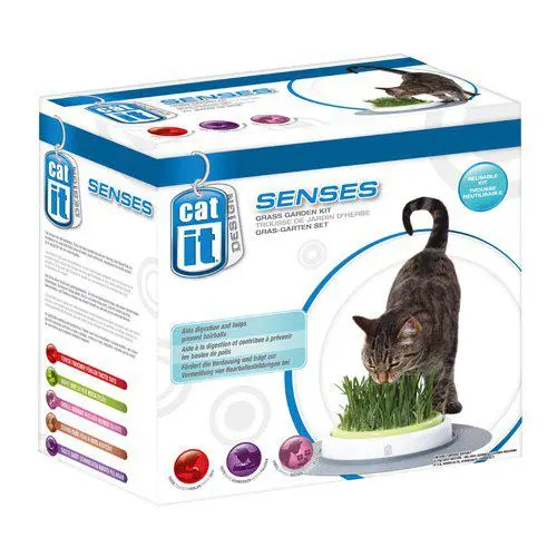 Catit Senses Grass Planter Kattegress-stasjon - Katt i Norge, katters favorittbutikk