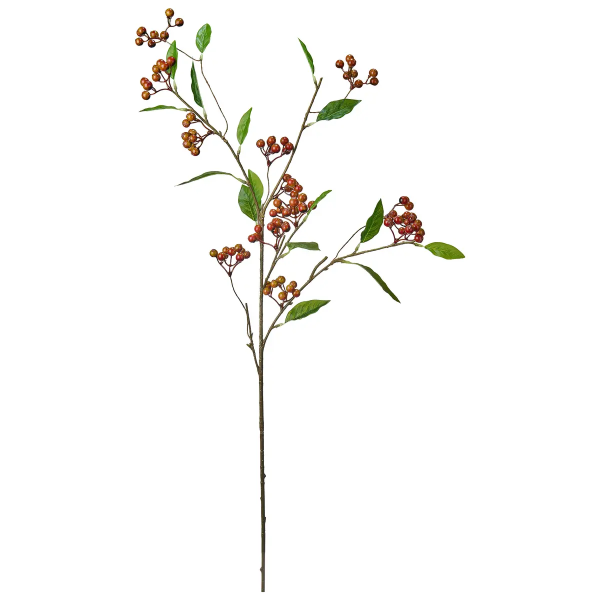 Stilkblomst Høstbær 88cm