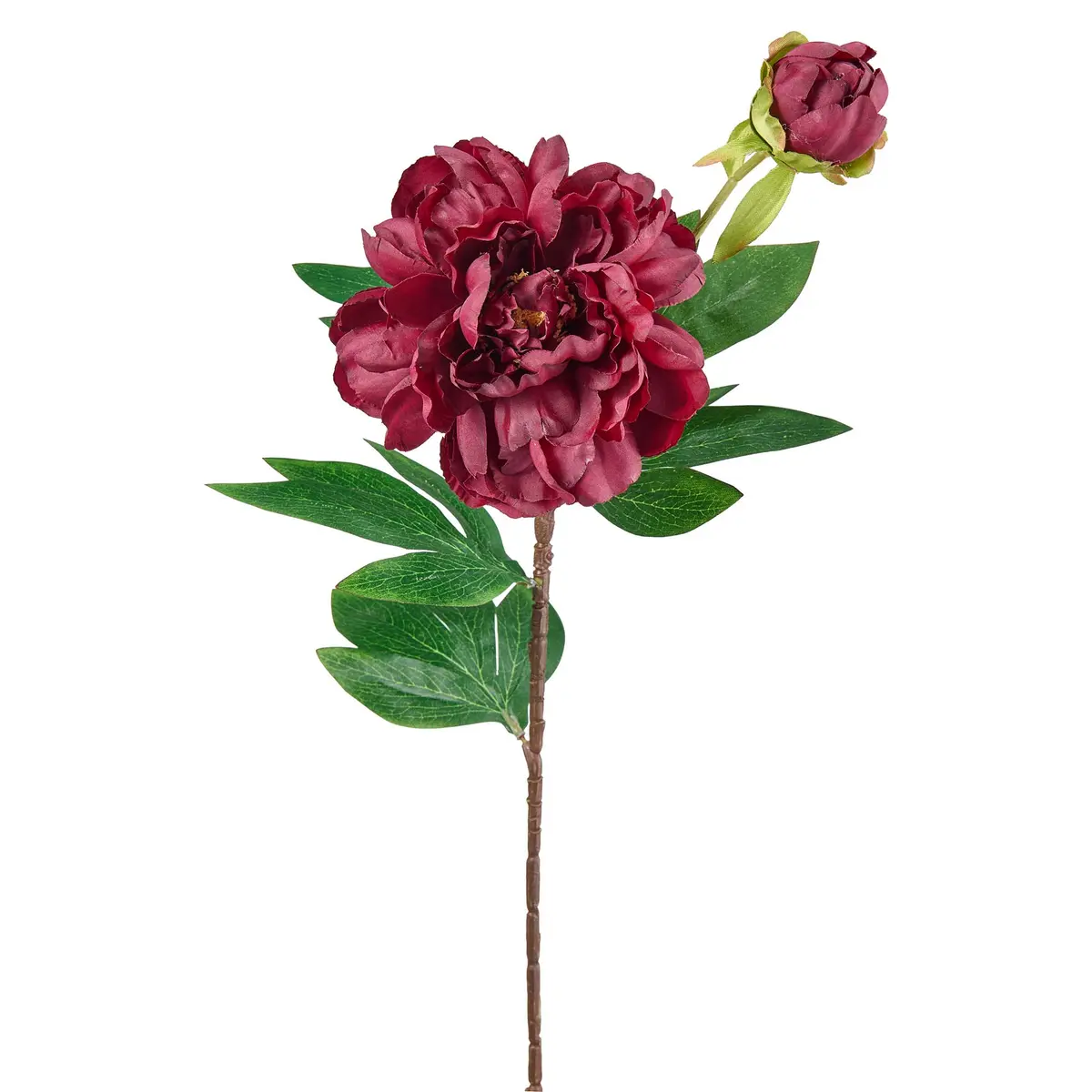 Stilkblomst Peon 70cm burgunder