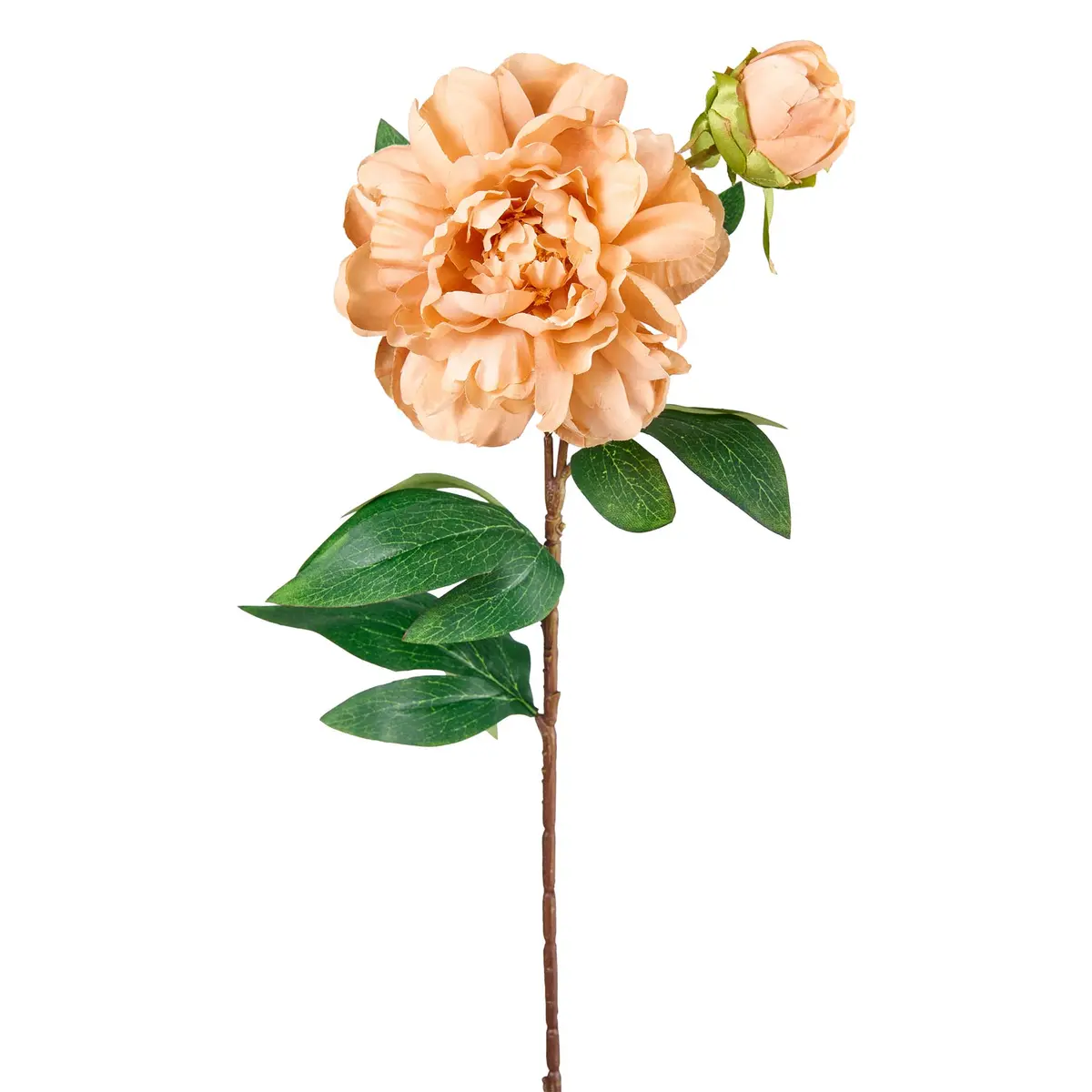 Stilkblomst Peon 70cm oker