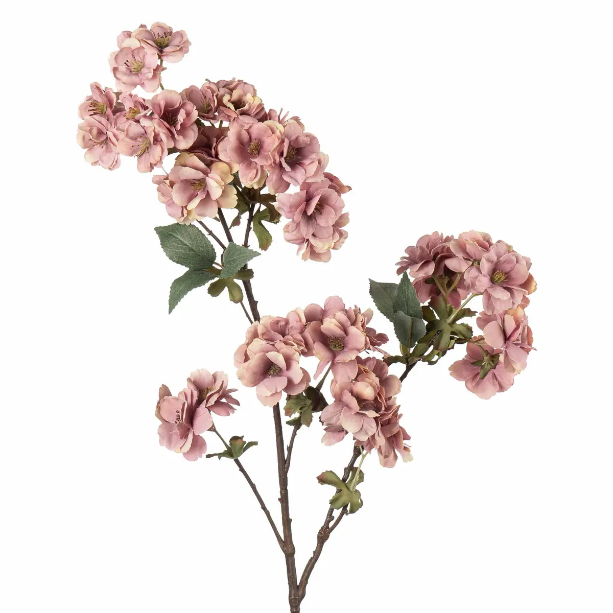 Stilkblomst Kirsebær 81cm