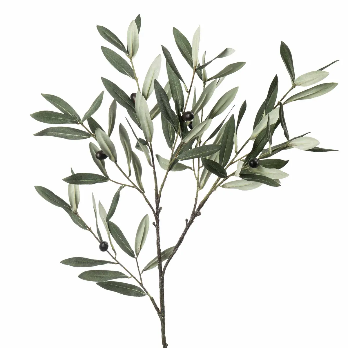 Gren Oliven 80cm
