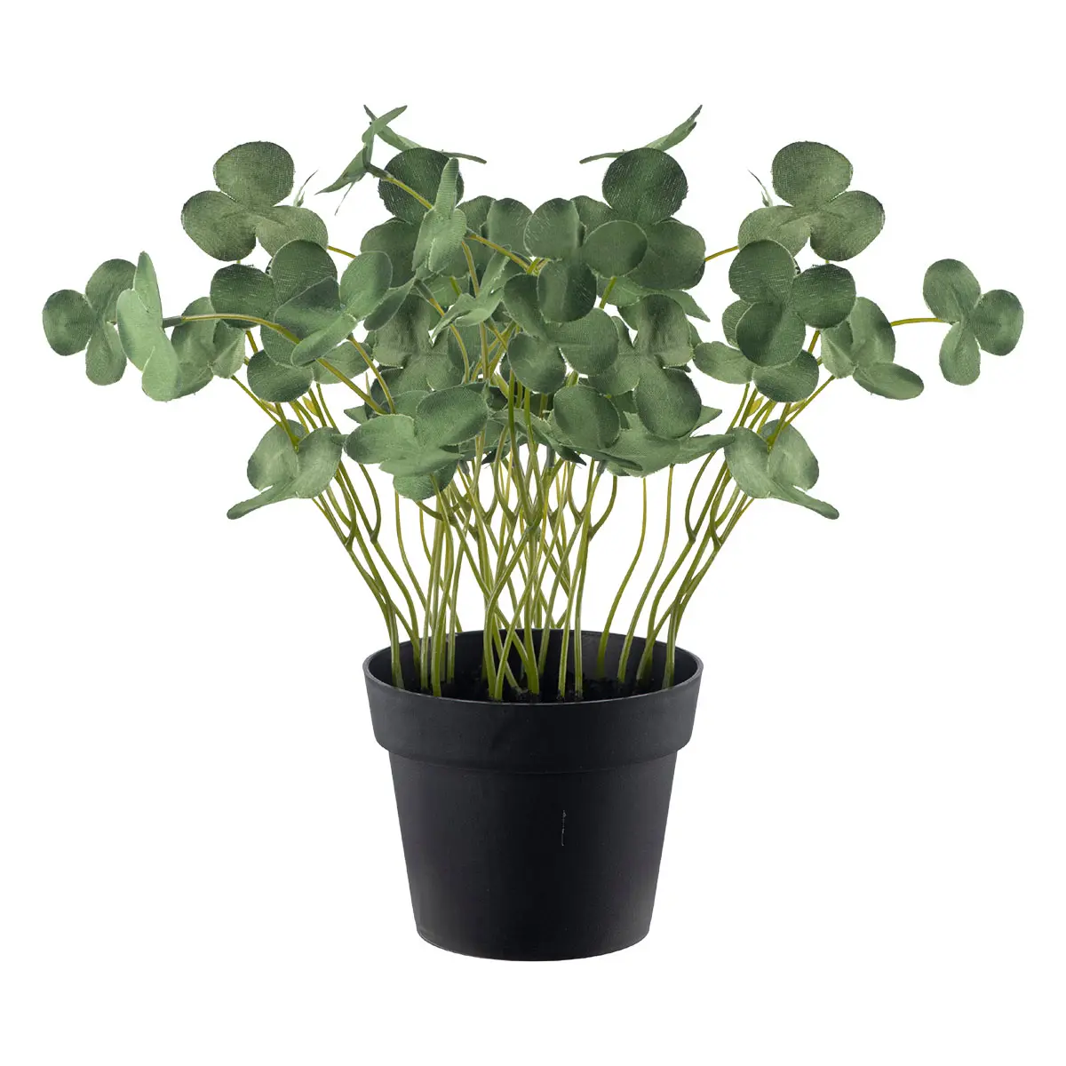 Plante Kløver 22cm