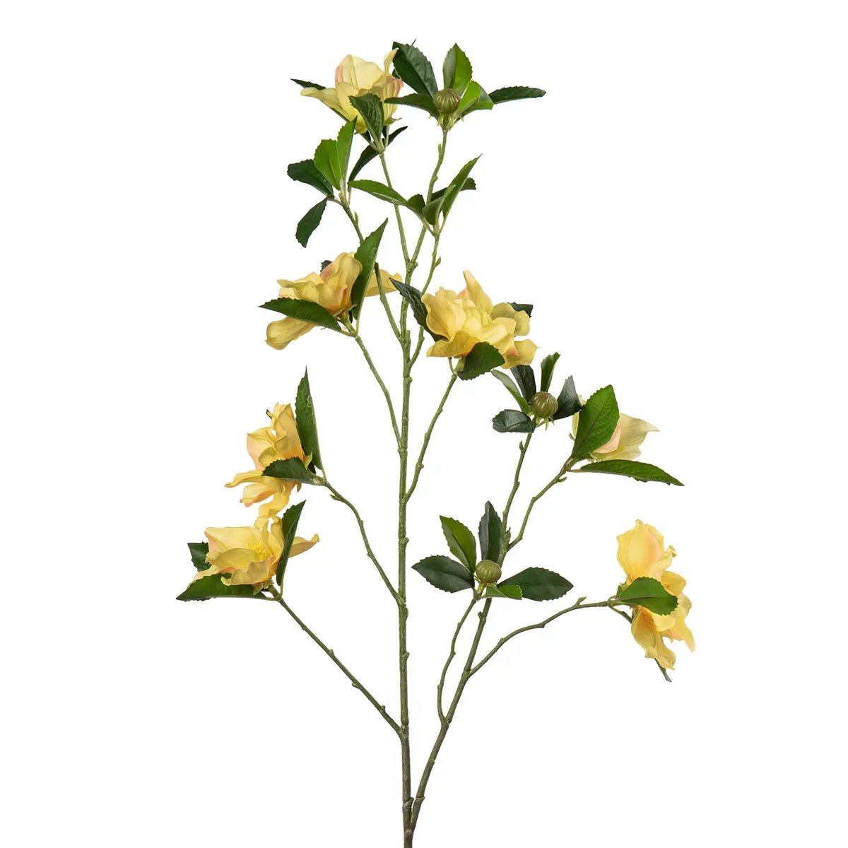 Stilkblomst Clematis 83cm