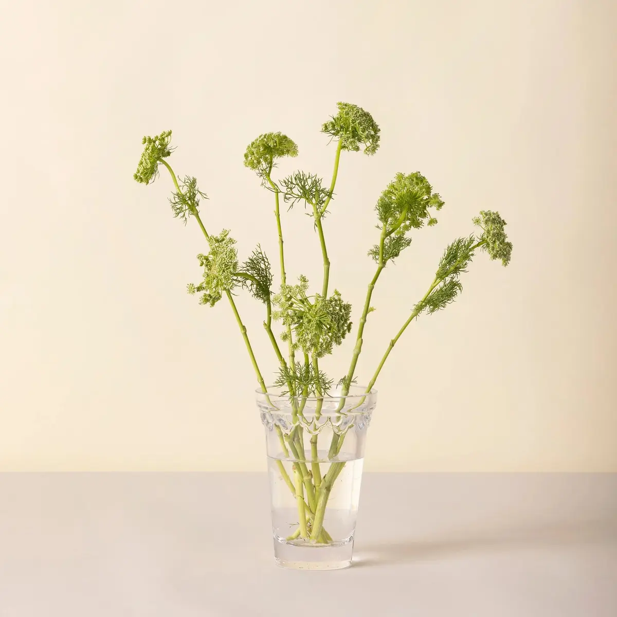 Vase Københavner Clear Ø11