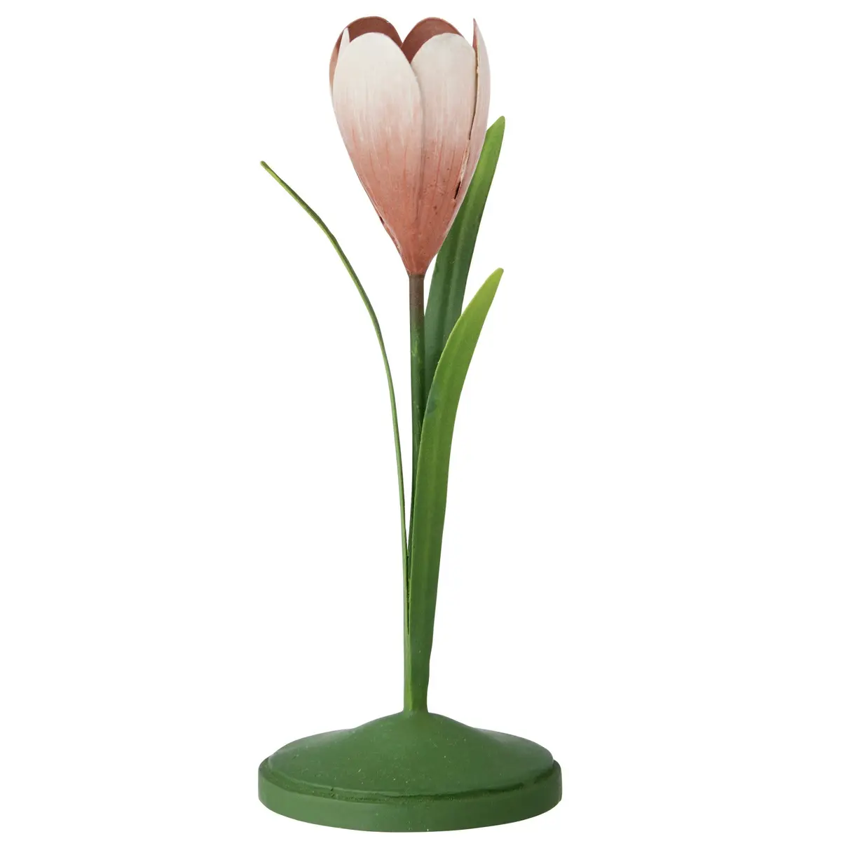 Lysestake Crocus Rose