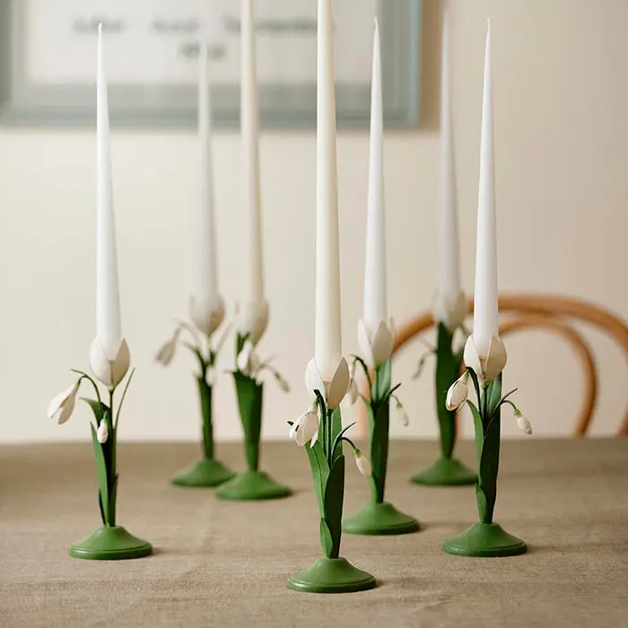 Lysestake Snowdrop Ivy