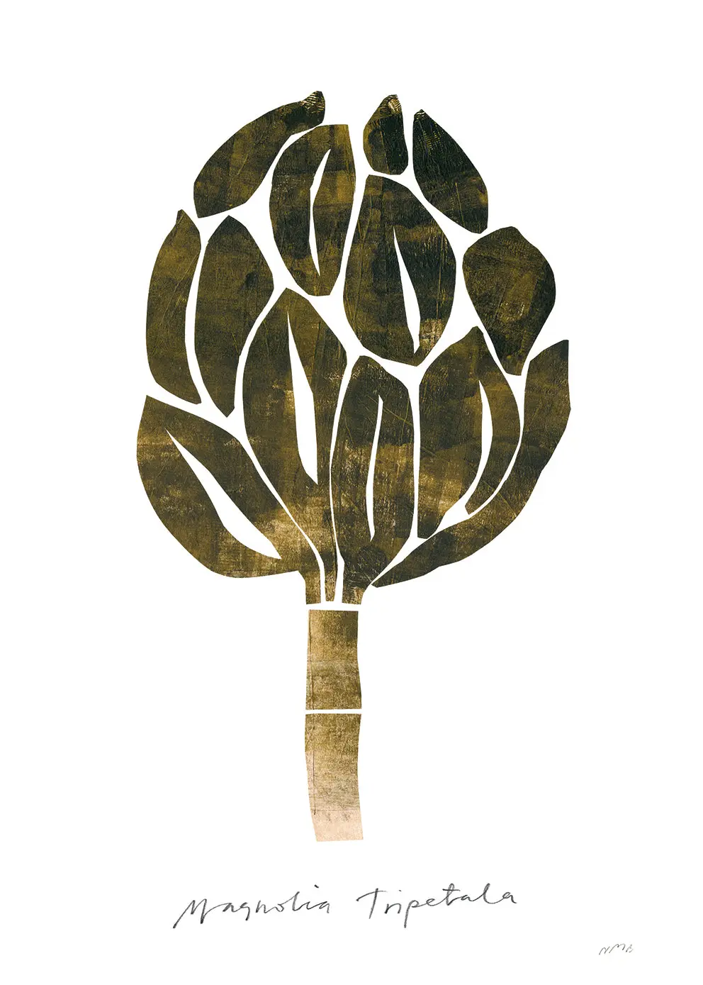 Poster Magnolia