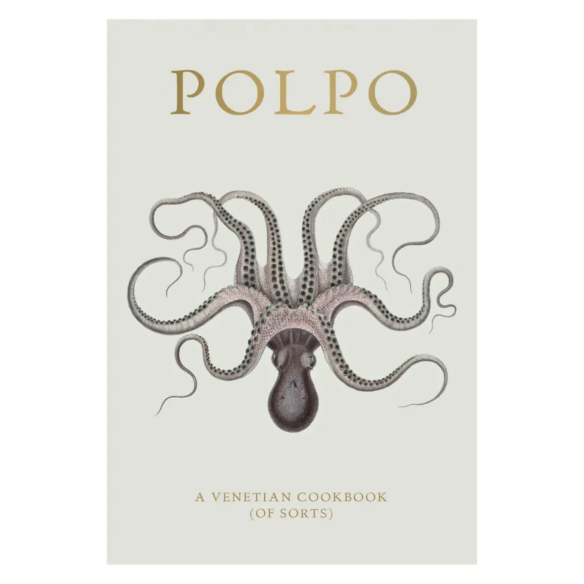 Polpo