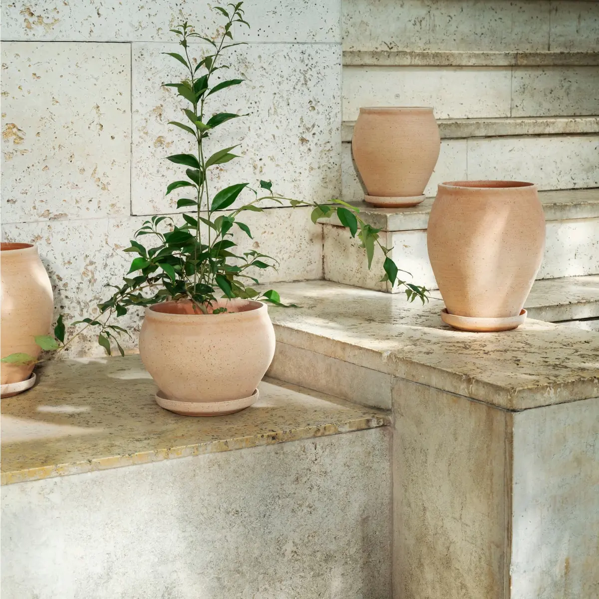 Potte Delphi Raw Rosa Low 24cm