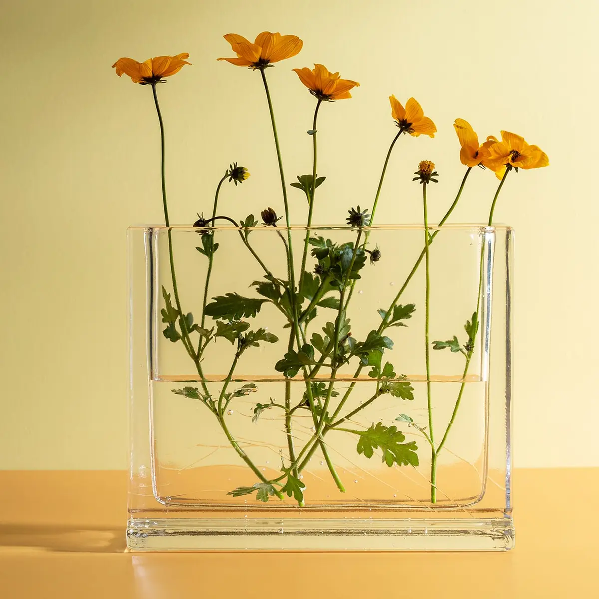Monoblokk Vase