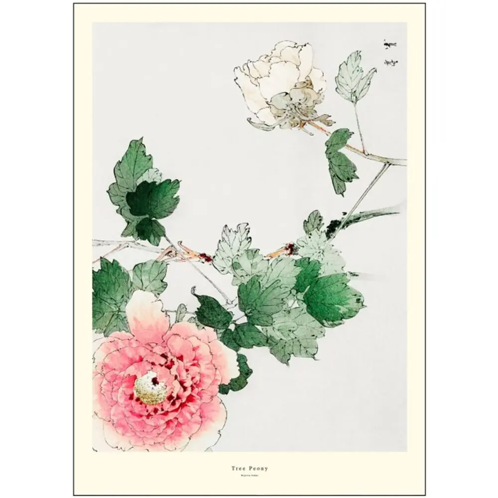 Poster Tree Peony 50x70