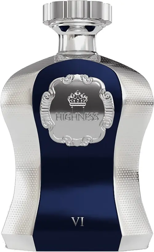 Afnan Perfumes Highness VI Eau de Parfum 100 ml