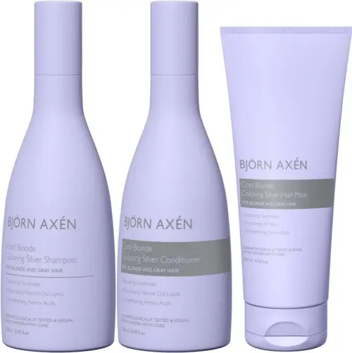 Björn Axén Repair Cool Blonde Coloring Silver Trio