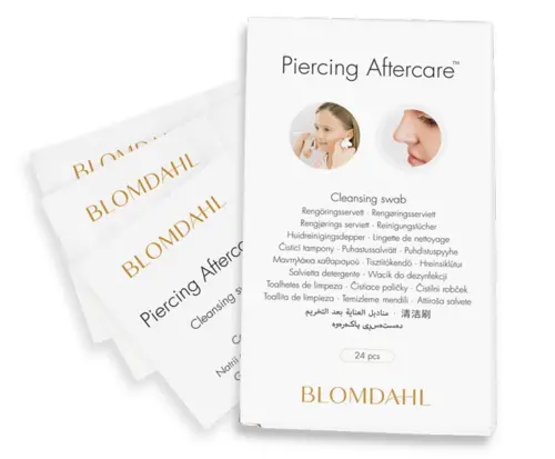 Blomdahl Rengöringsservetter 24-pack