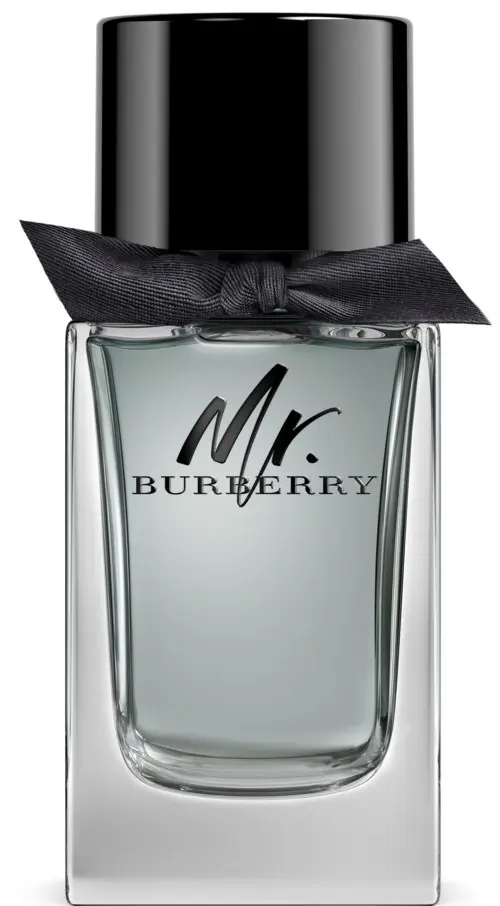 Burberry Mr Burberry Edt 100ml