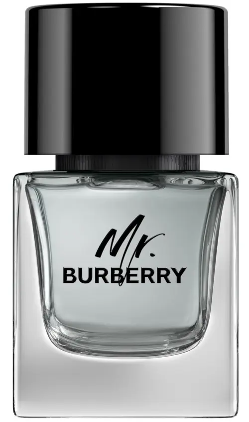 Burberry Mr Burberry Edt 50ml
