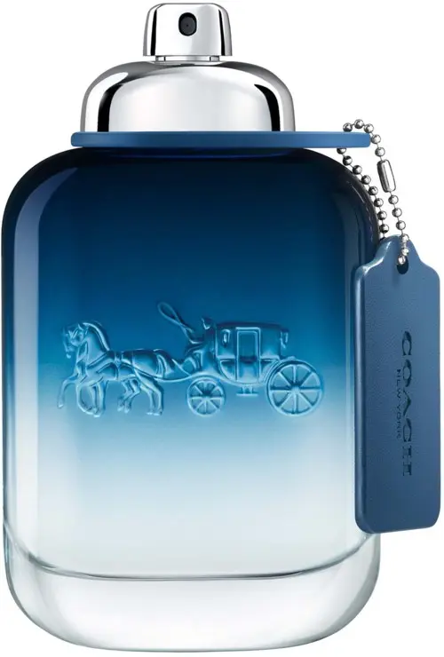 Coach Blue Eau de Toilette 100 ml