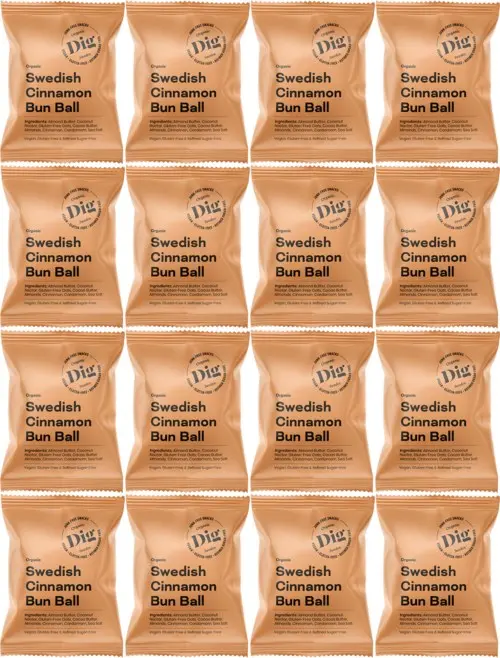 DIG Organic Swedish Cinnamon Bun Ball 16 x 25g