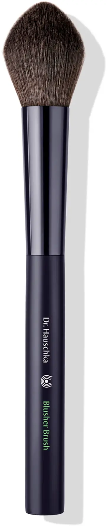 Dr Hauschka Blush Brush