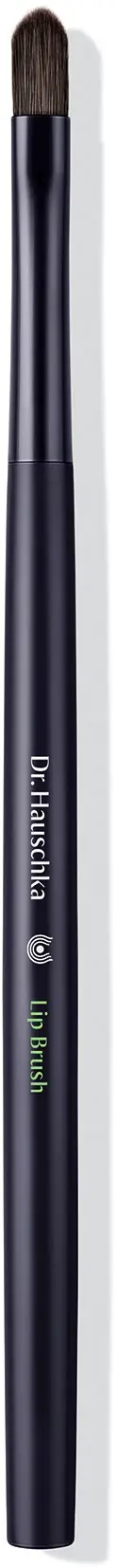 Dr Hauschka Lip Brush
