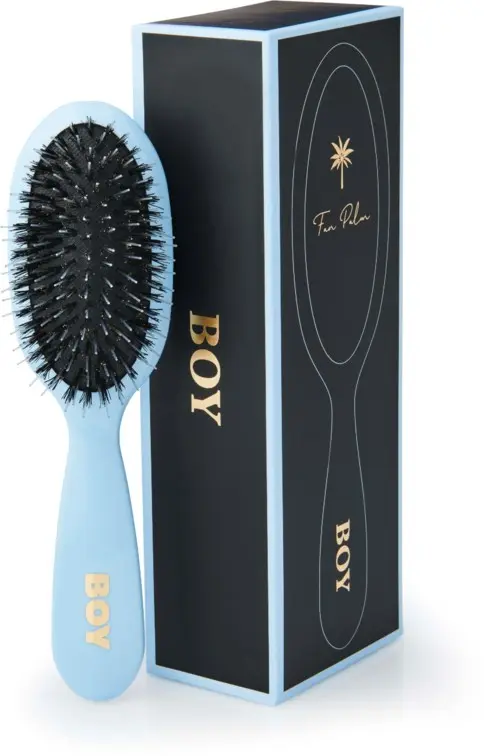 Fan Palm Small Boy Brush