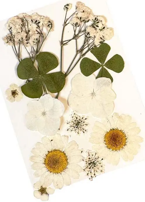 Glitternisti Face Flowers White & Greens