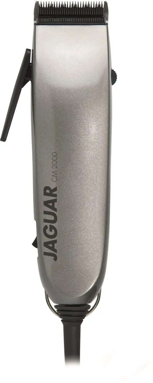 JAGUAR CM 2000 Silver