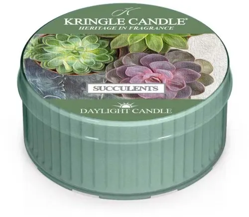 Kringle Candle Daylight Succulents 42 g