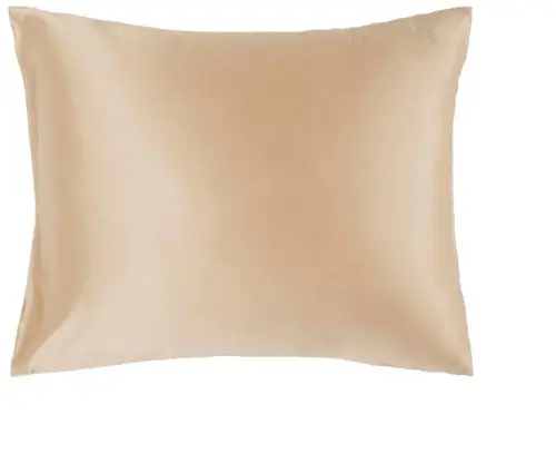 Lenoites Mulberry Silk Pillowcase 50x60 cm, Beige