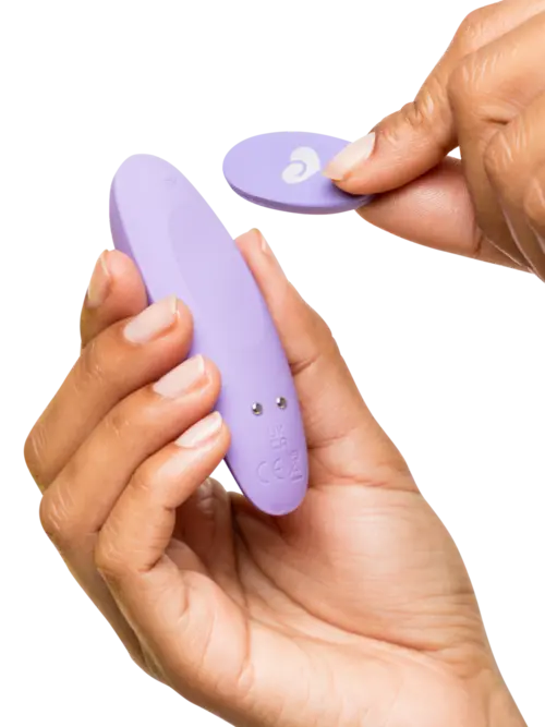 Lovehoney Panty Vibrator