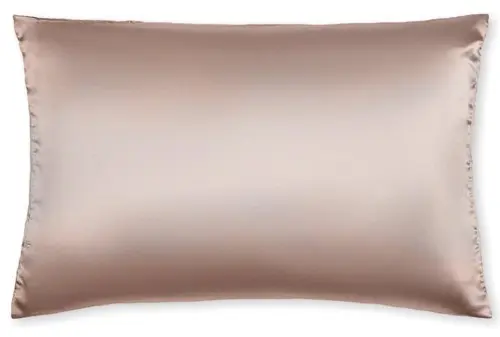 Philip B Champagne Silky Smooth Pillow Case (Champagne) Champagne