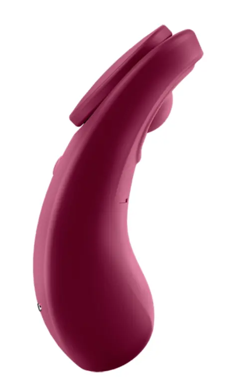 Satisfyer Sexy Secret wine red