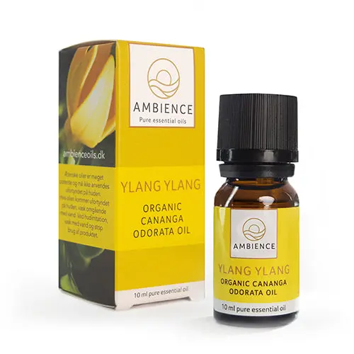 Kjøp Ambience Ylang Ylang Olje, Øko 10 ml - Mecindo