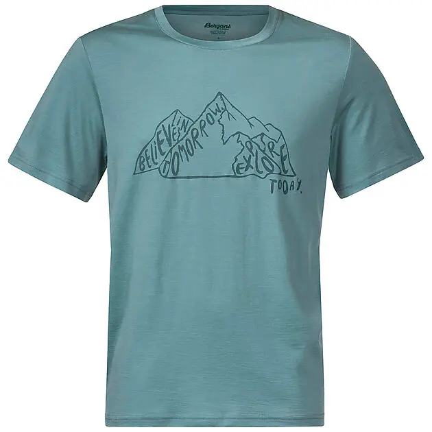 BERGANS OF NORWAY Graphic Wool Tee Light Forest Frost / Forest Frost Herre
