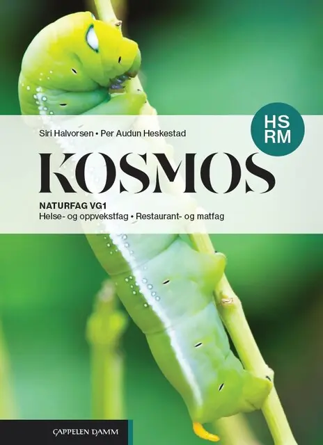 Kosmos HS RM (2025)
